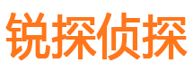 益阳外遇出轨调查取证